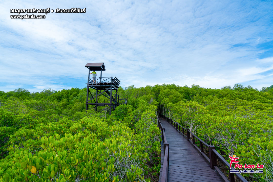 Pran Buri Forest Park